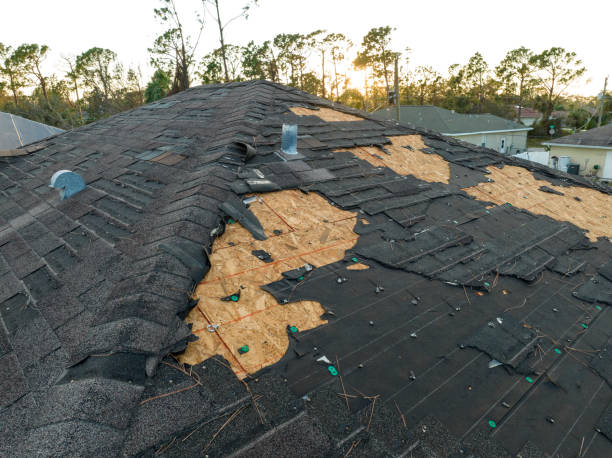 Best Flat Roofing  in Walkerton, IN