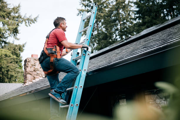 Best Gutter Installation and Repair  in Walkerton, IN